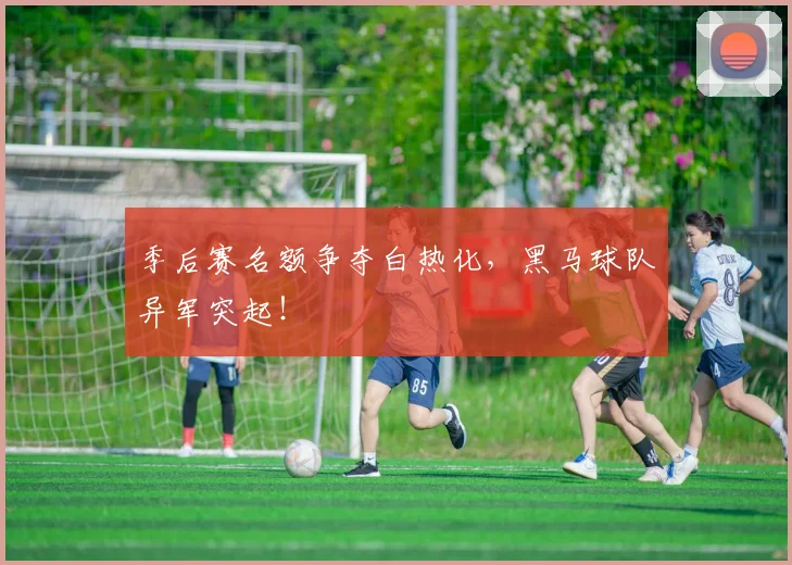 季后赛名额争夺白热化,黑马球队异军突起!