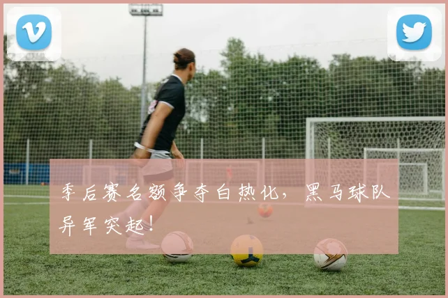 季后赛名额争夺白热化,黑马球队异军突起!